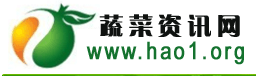 www.hao1.org